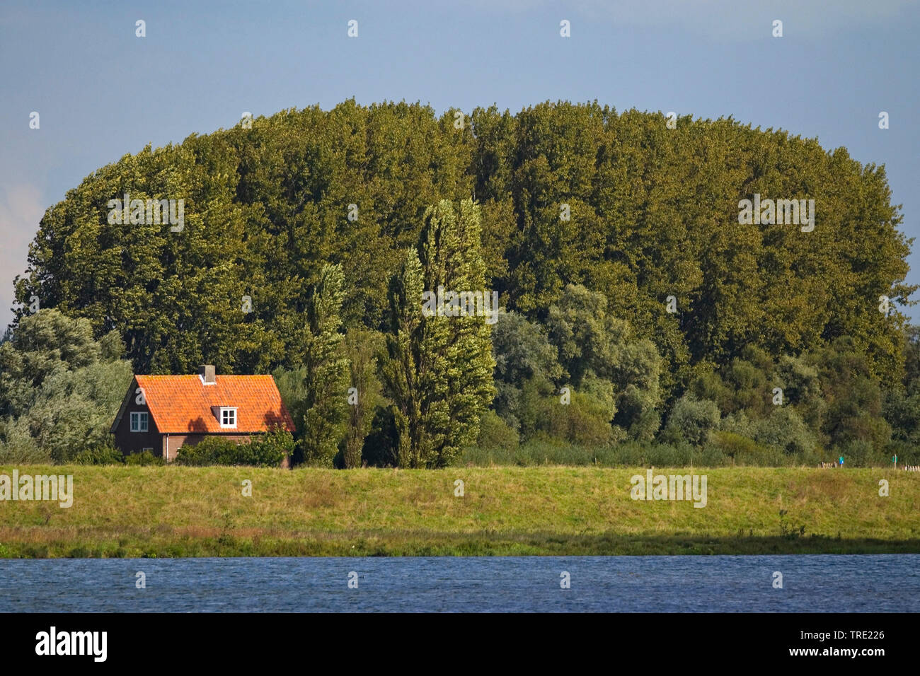house at Spieringpolder, Netherlands, Noord-Brabant, Brabantse Biesbosch, Werkendam Stock Photo