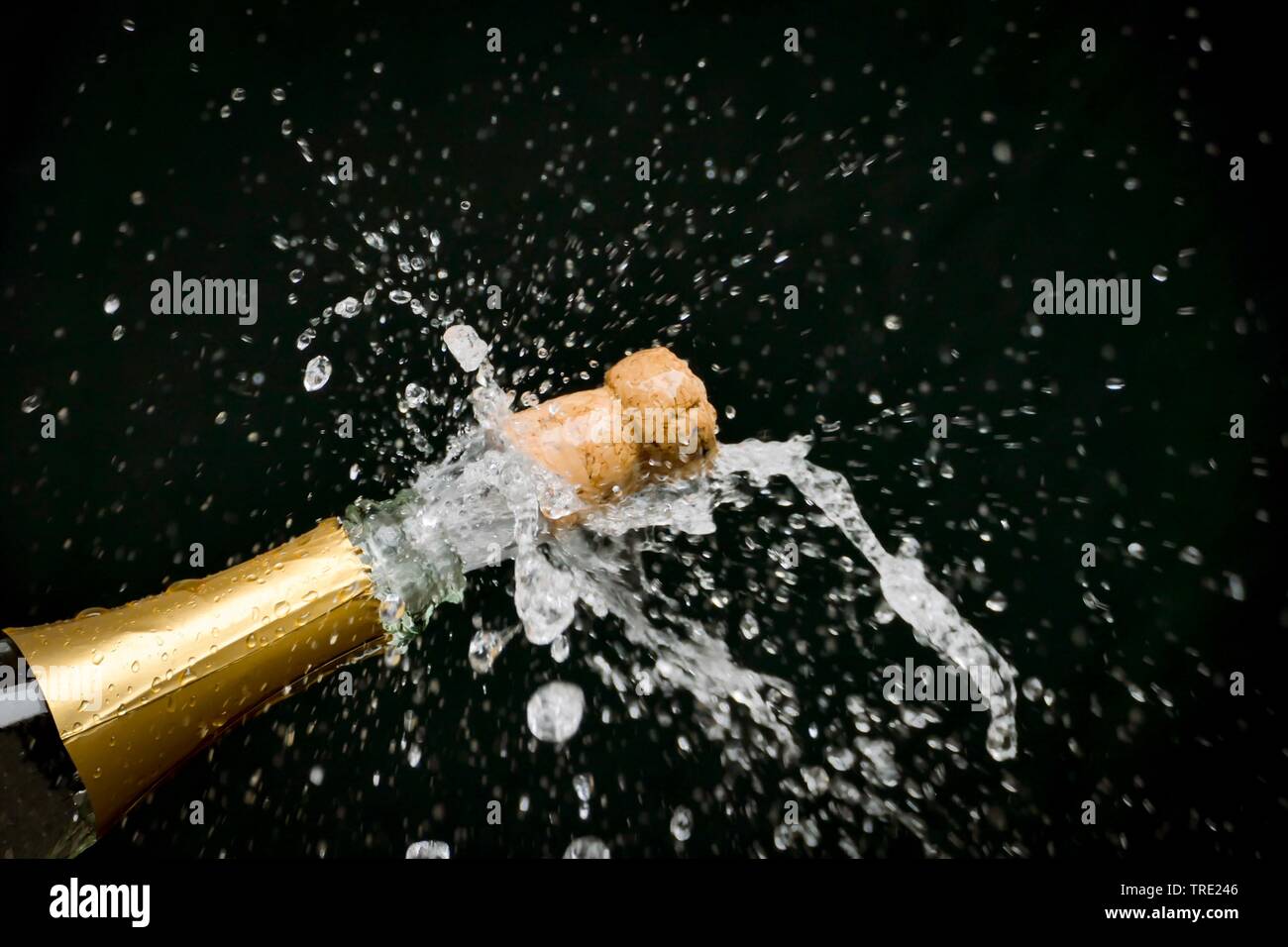 champagne cork popping out Stock Photo Alamy