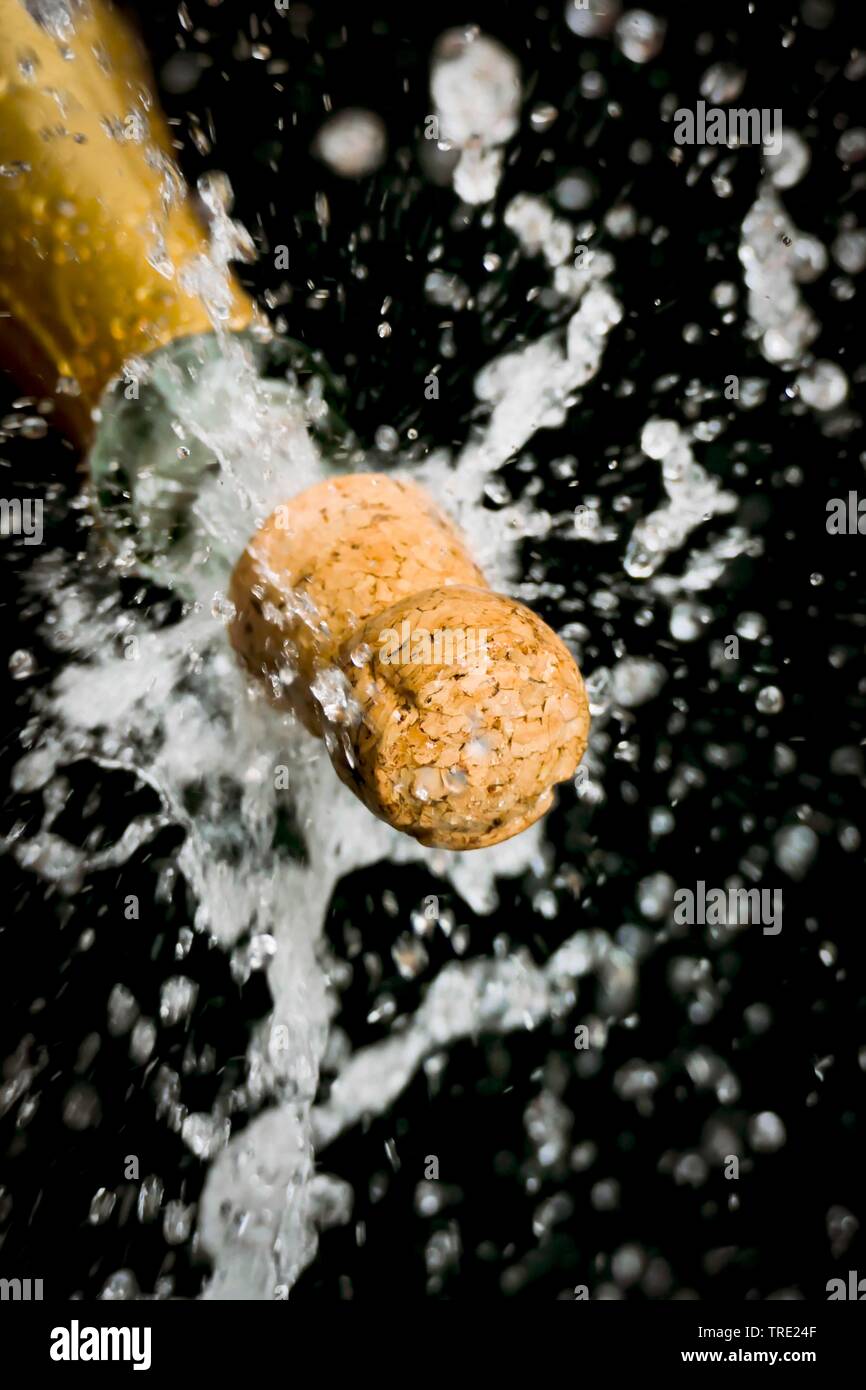 champagne cork popping out Stock Photo Alamy