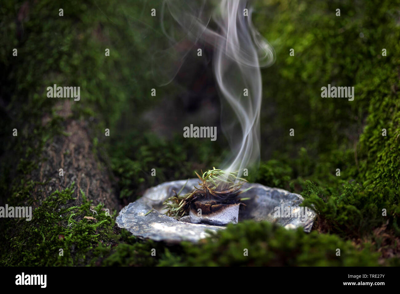 Smoking; Smoking with juniper, tree gum and fuming coal, Germany Stock  Photo - Alamy