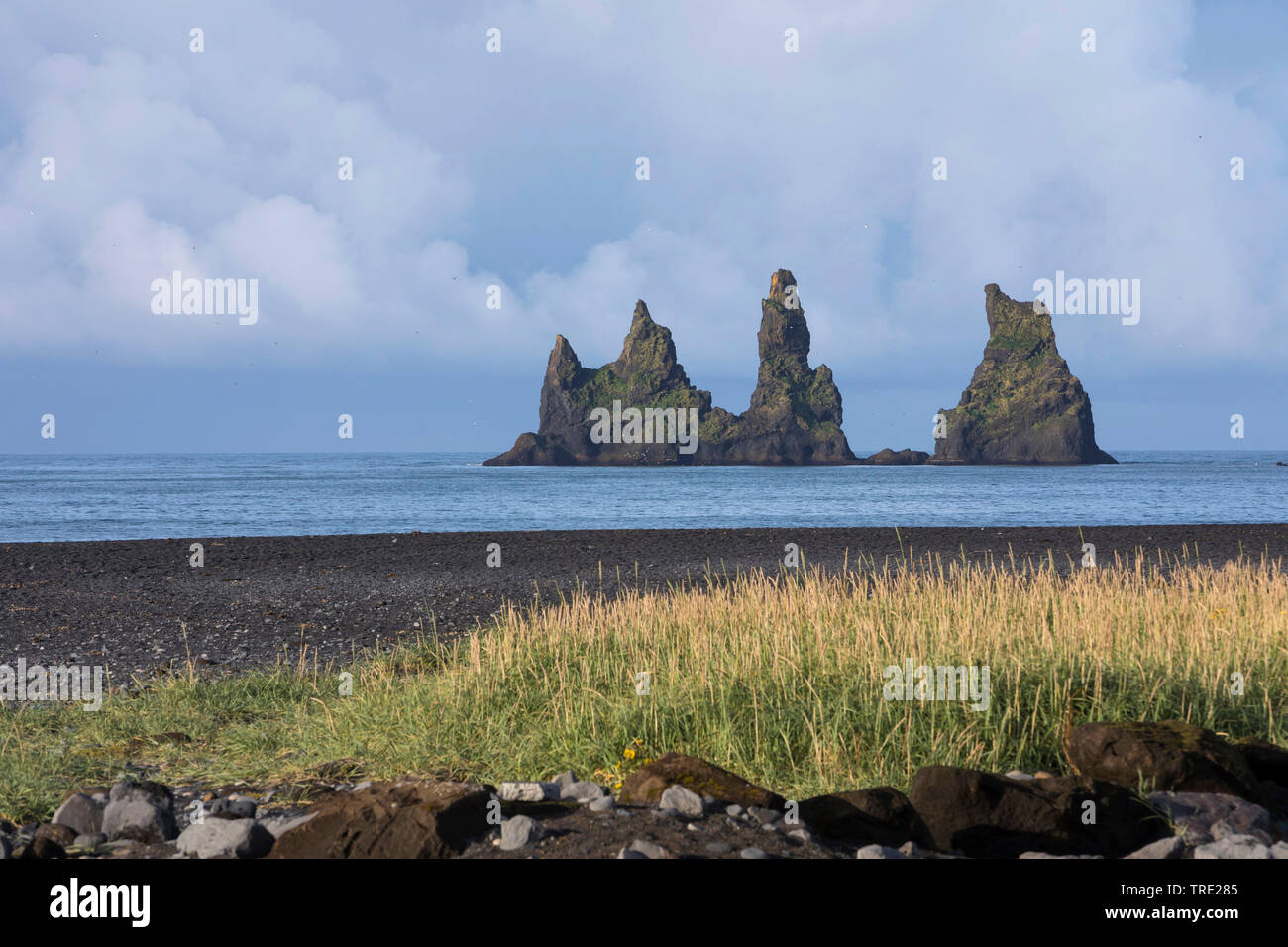 pinnacle Reynisdrangar at the coast of VÝk Ý M²rdal, Iceland, Reynisdrangar Stock Photo