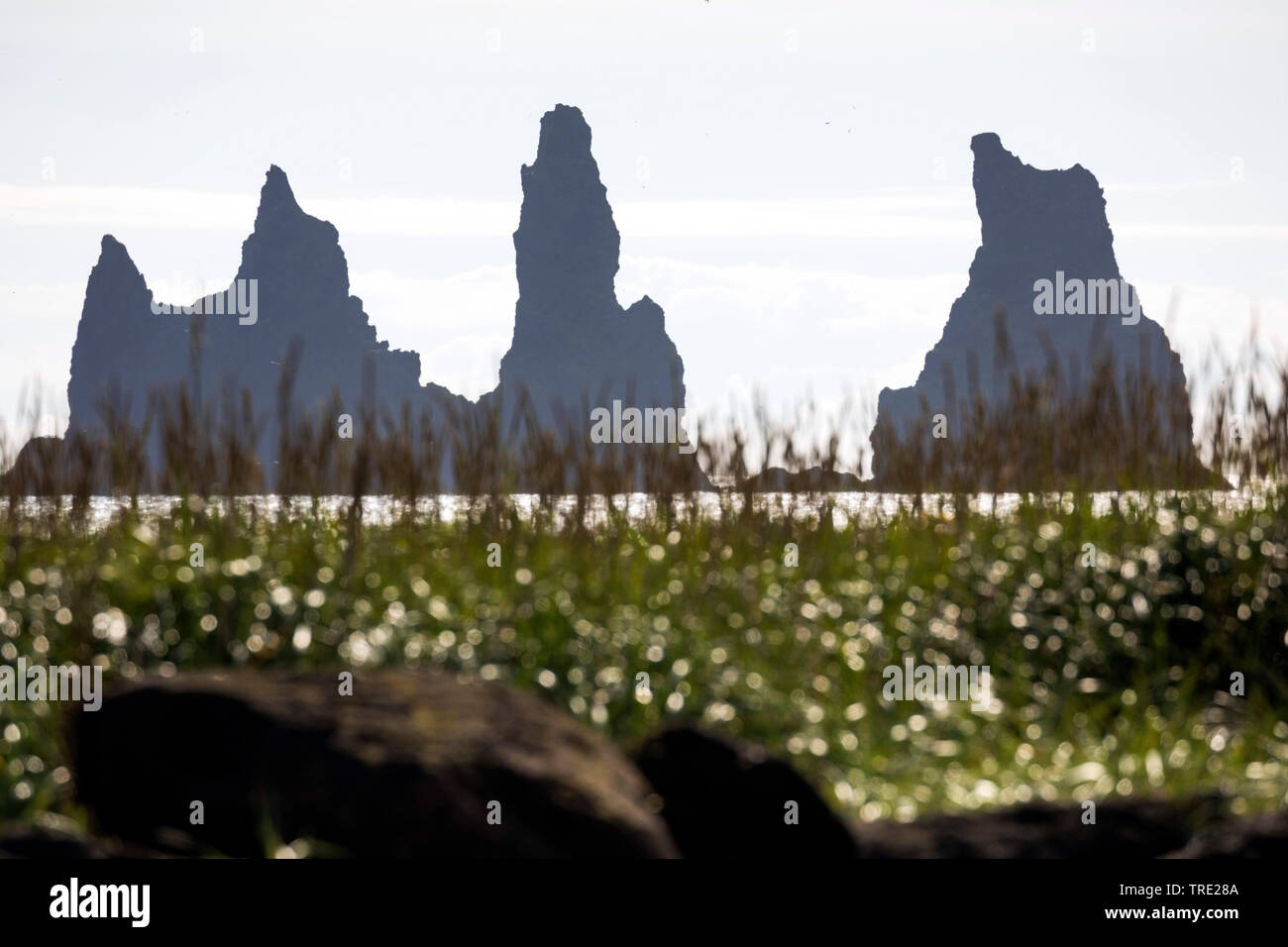 pinnacle Reynisdrangar at the coast of VÝk Ý M²rdal, Iceland, Reynisdrangar Stock Photo