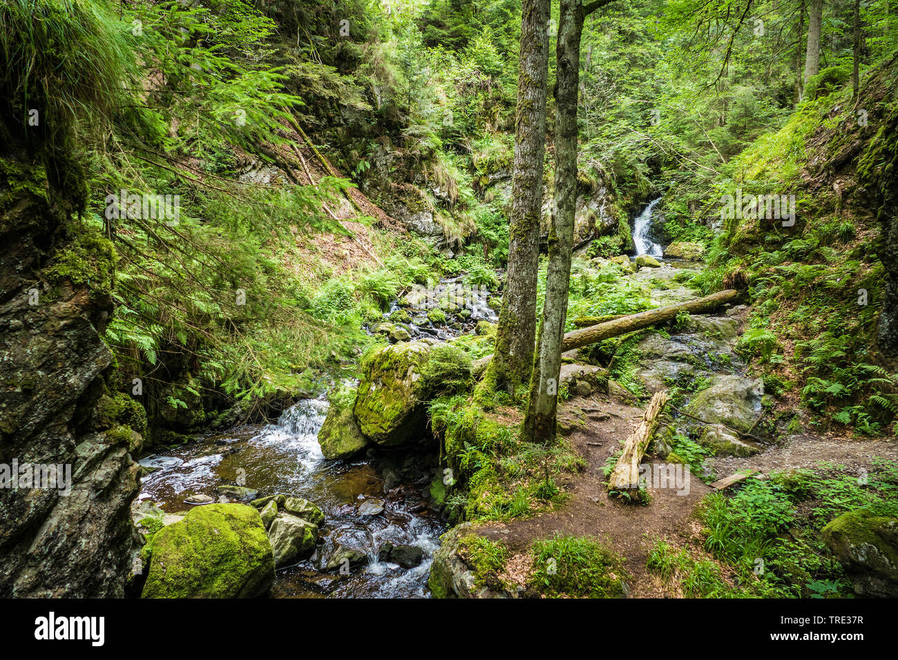 Breitnau in black forest hi-res stock photography and images - Alamy