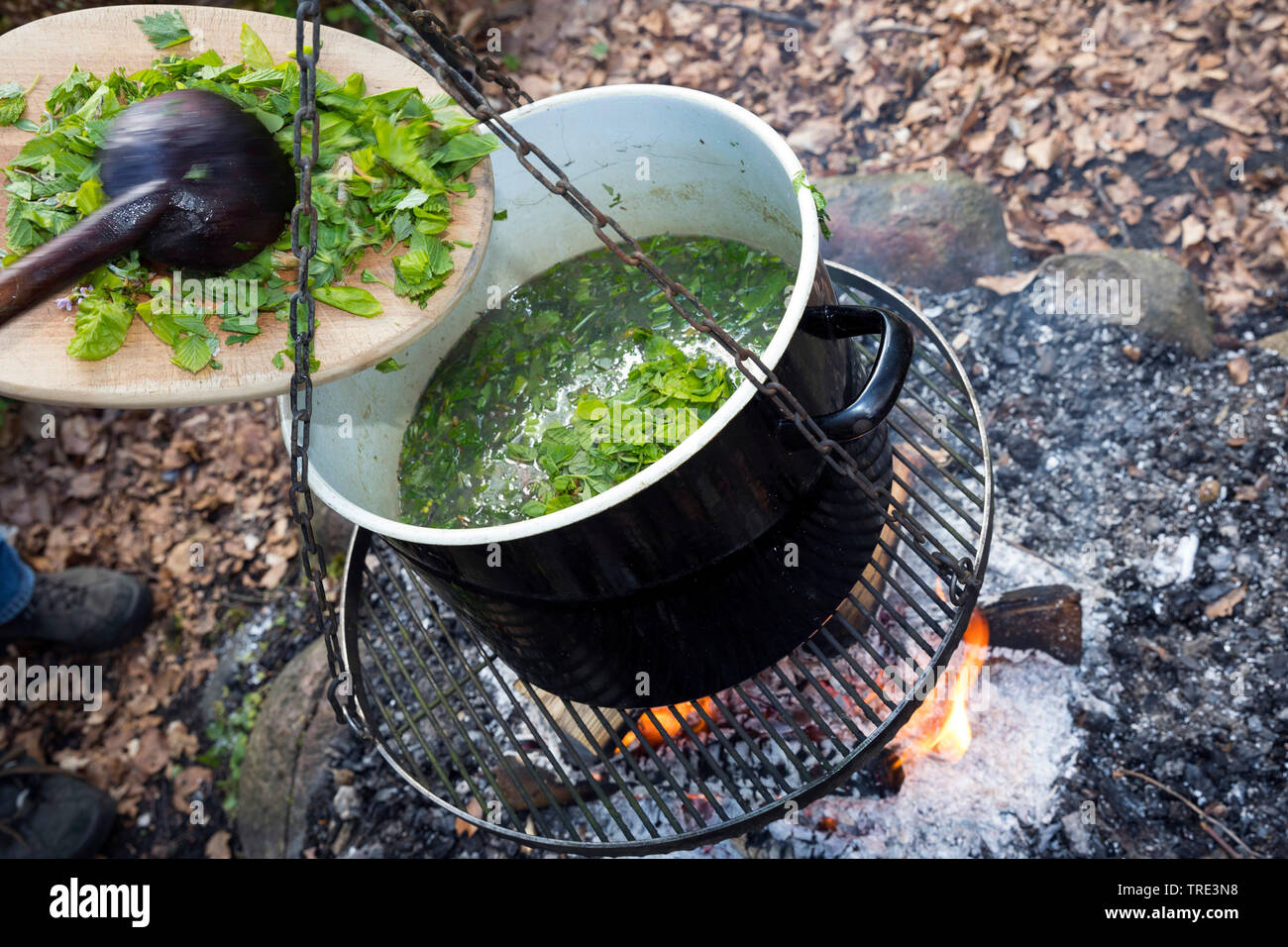 herb soup campfires, Germany Stock Photo
