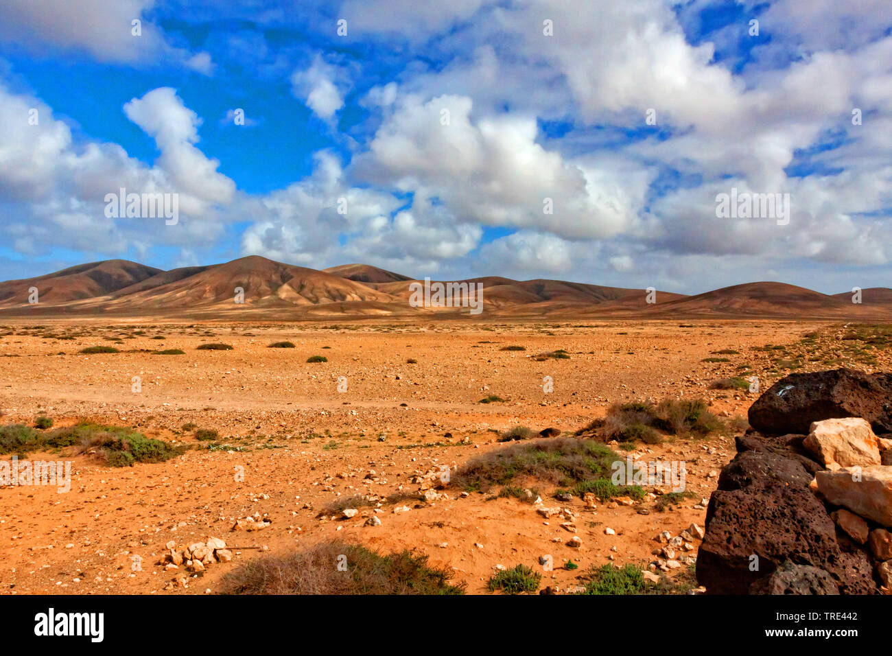 mountain landscape on Fuerteventura, Canary Islands, Fuerteventura Stock Photo