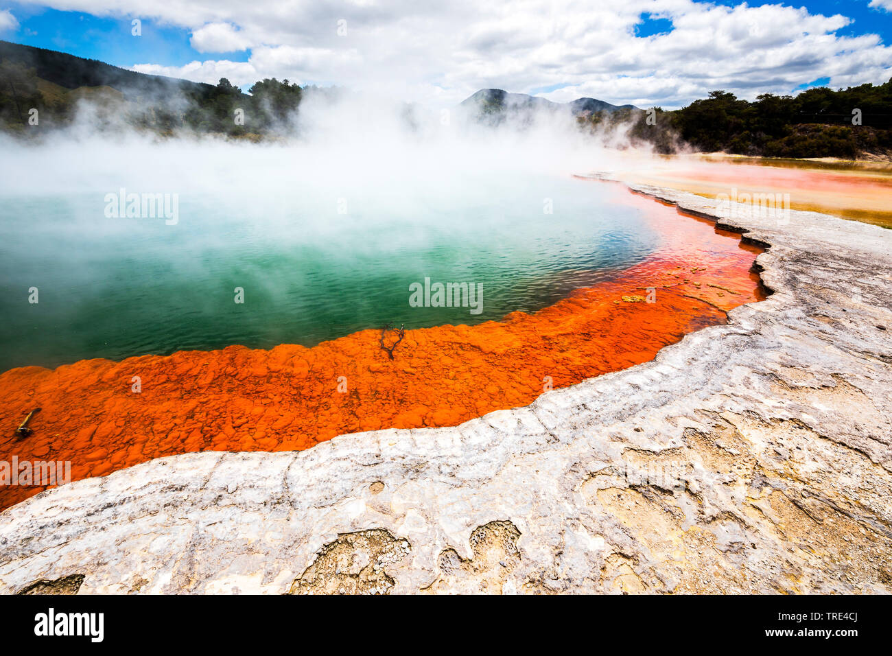 View of a volcanic lake at Waimangu Volcanic Rift Valley in New Zealand, New Zealand, Northern Island, Waimangu Stock Photo