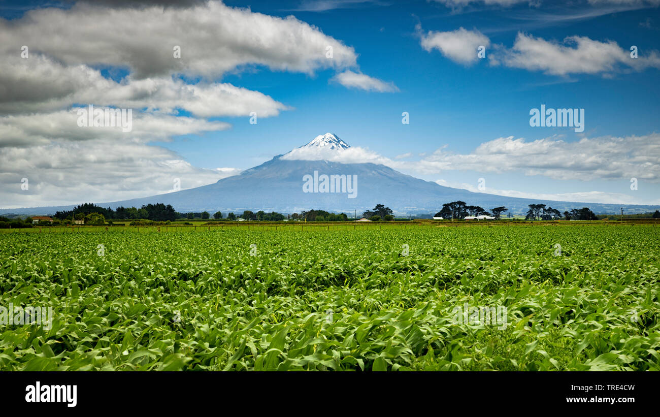 Mount Taranaki in New Zealand, New Zealand, Northern Island, Taranaki
