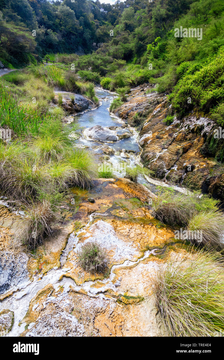 Frying pan creek hires stock photography and images Alamy