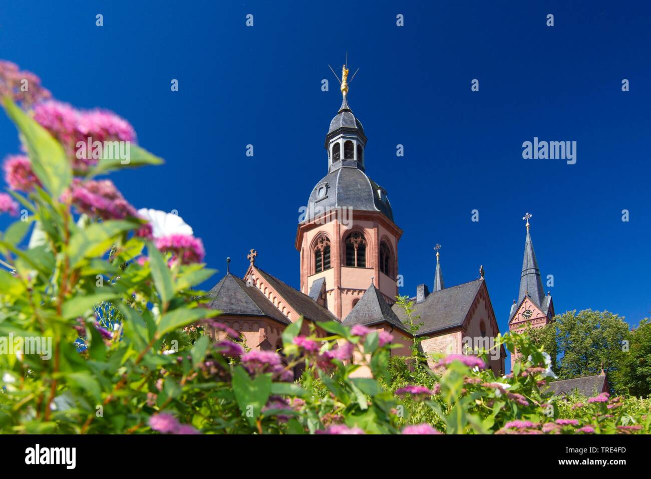 basilica Basilika, Germany, Hesse, Seligenstadt Stock Photo