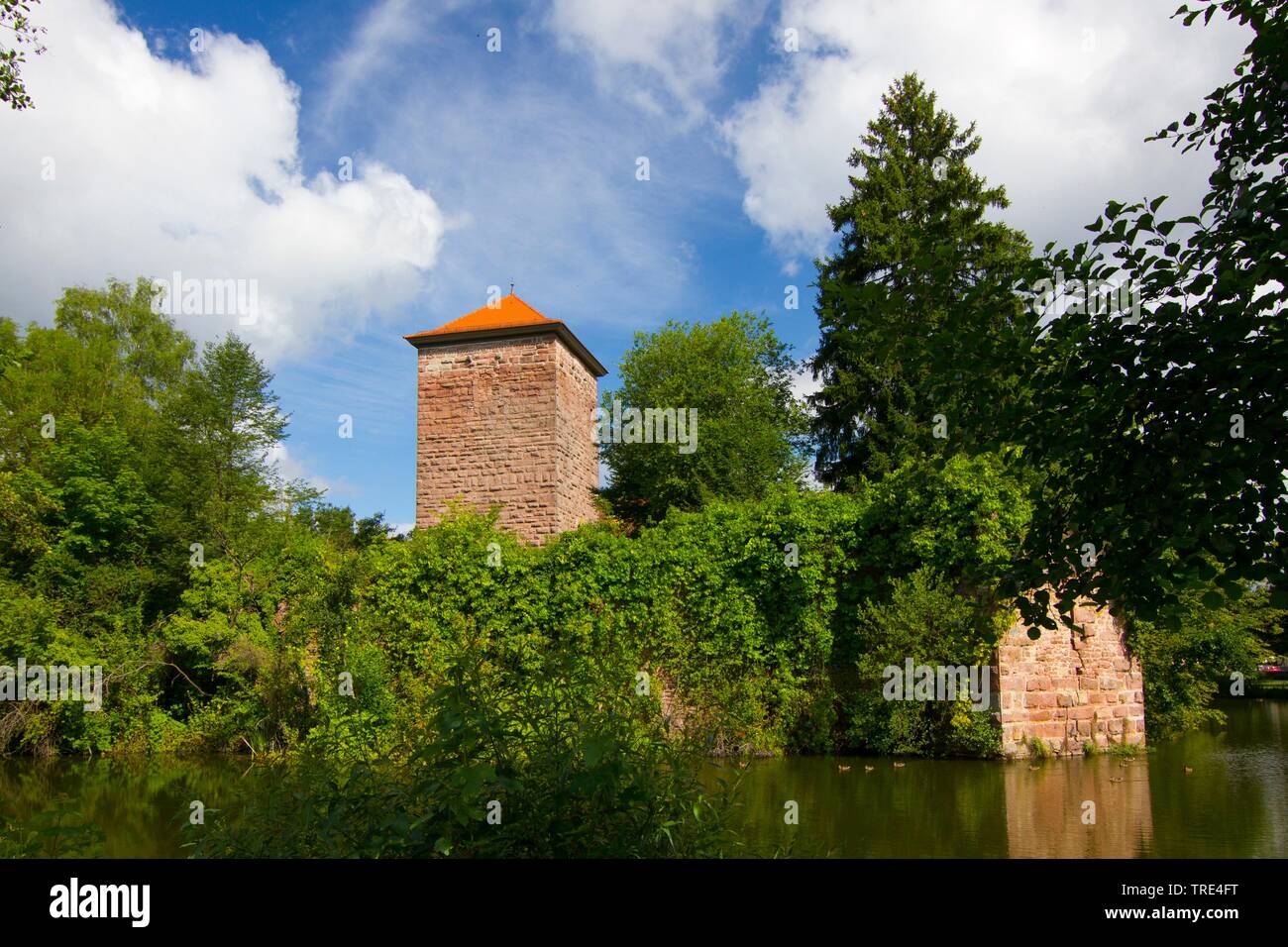 water castle in Burgsinn, Germany, Bavaria, Franken, Franconia, Spessart Stock Photo