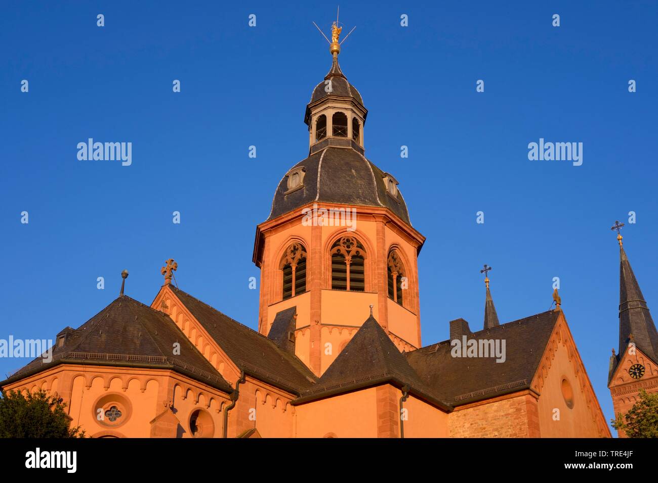 basilica Basilika, Germany, Hesse, Seligenstadt Stock Photo