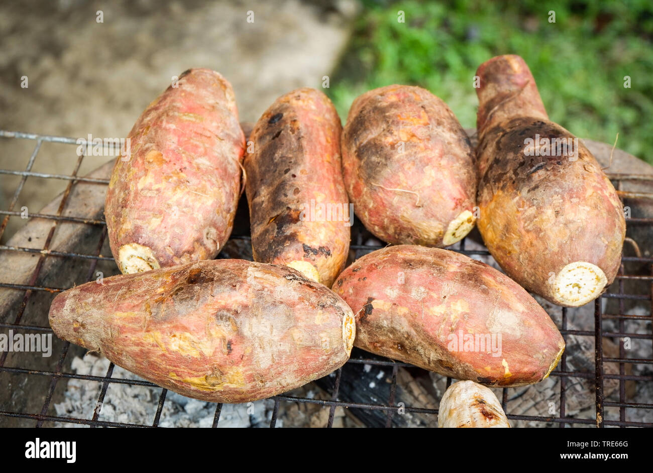 Grilled sweet potatoes yam on grill in the stove background Stock Photo