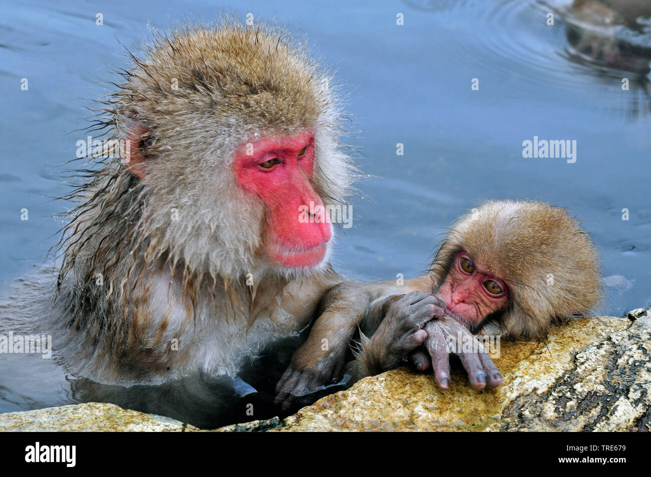 Mother Bathing Child High Resolution Stock Photography And Images Alamy