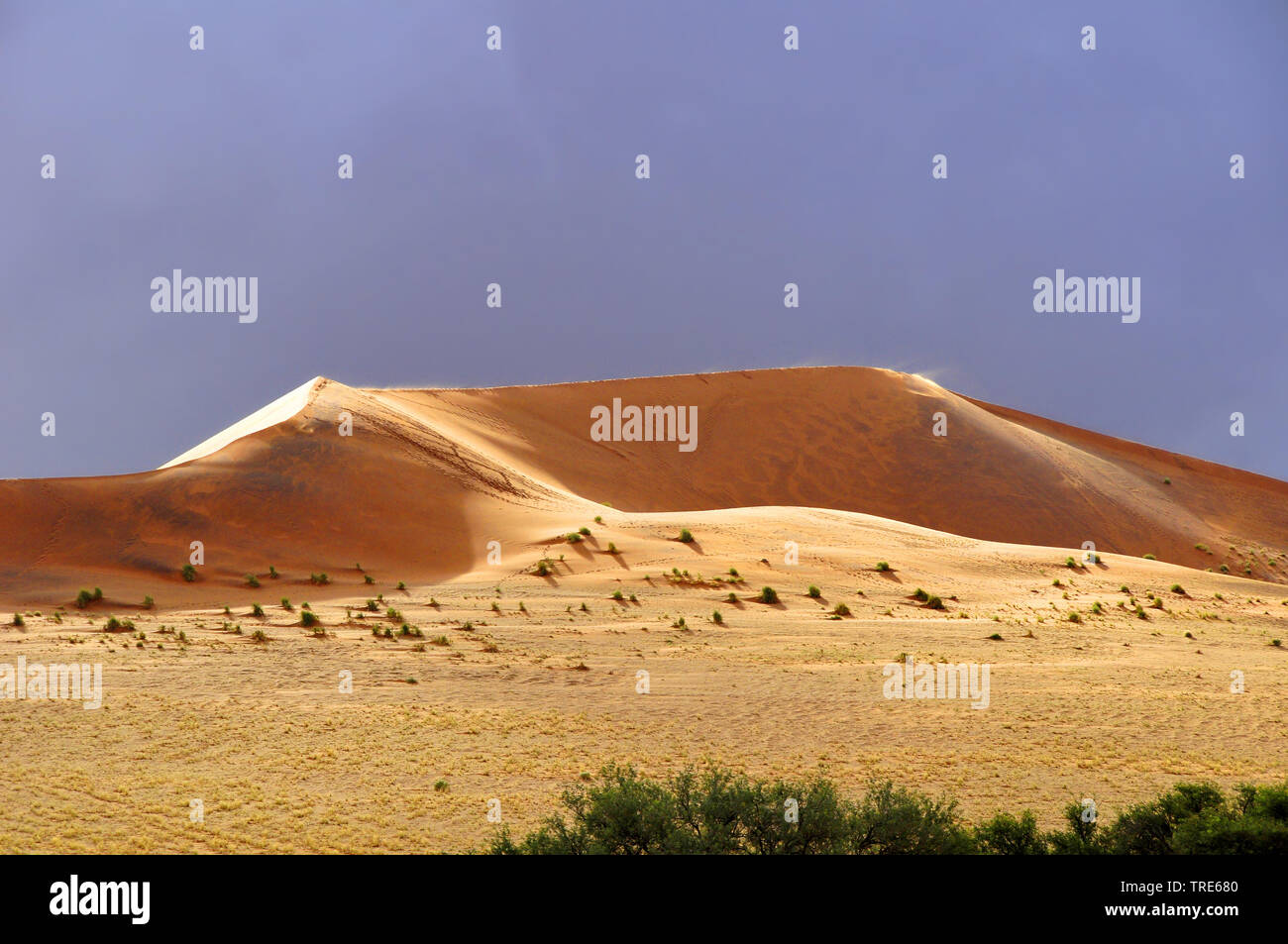 landscape at the Namib Naukluft Nationalpark, Namibia, Namib Naukluft National Park Stock Photo