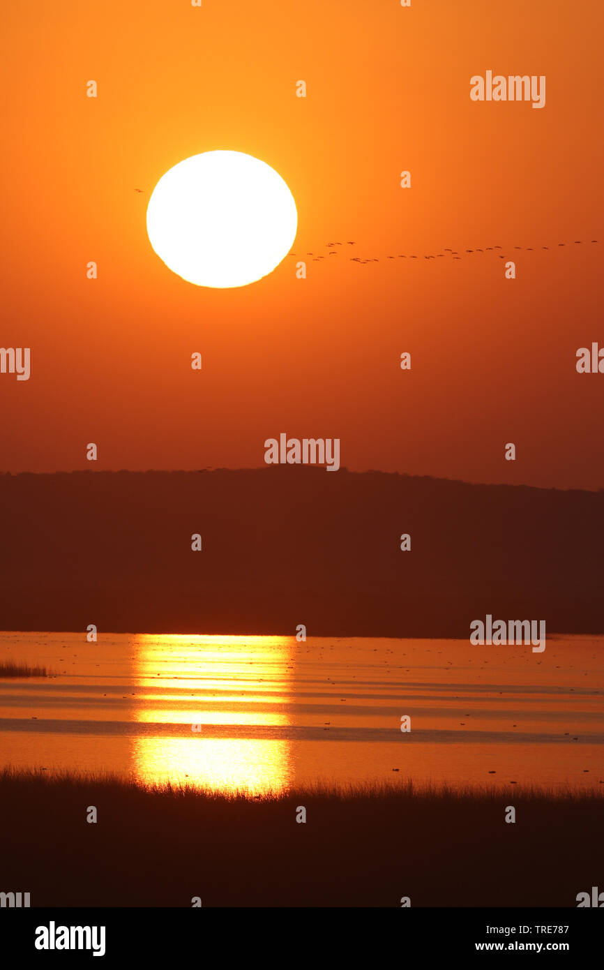 sunset over Chhari Lake, India, Rann von Kachchh, Chhari Lake Stock Photo