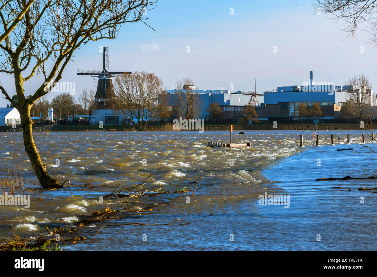 IJssel High Water In Winter Netherlands Overijssel Veessen Stock ijssel-high-water-in-winter-netherlands-overijssel-veessen-stock