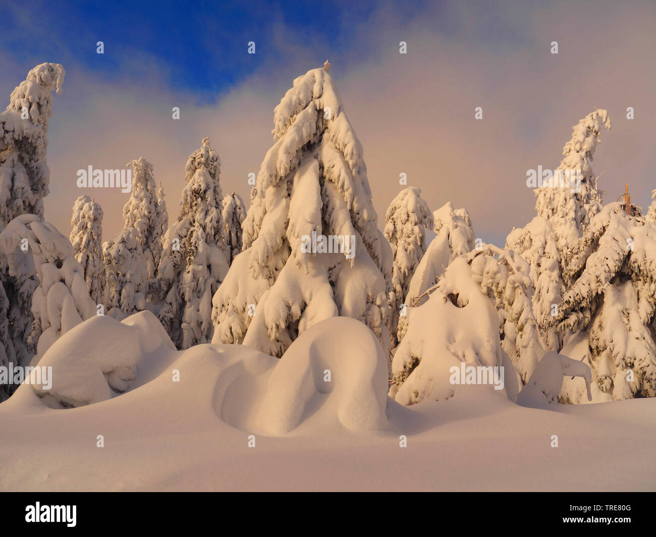 Snow capped mountains in evening light hi-res stock photography and ...
