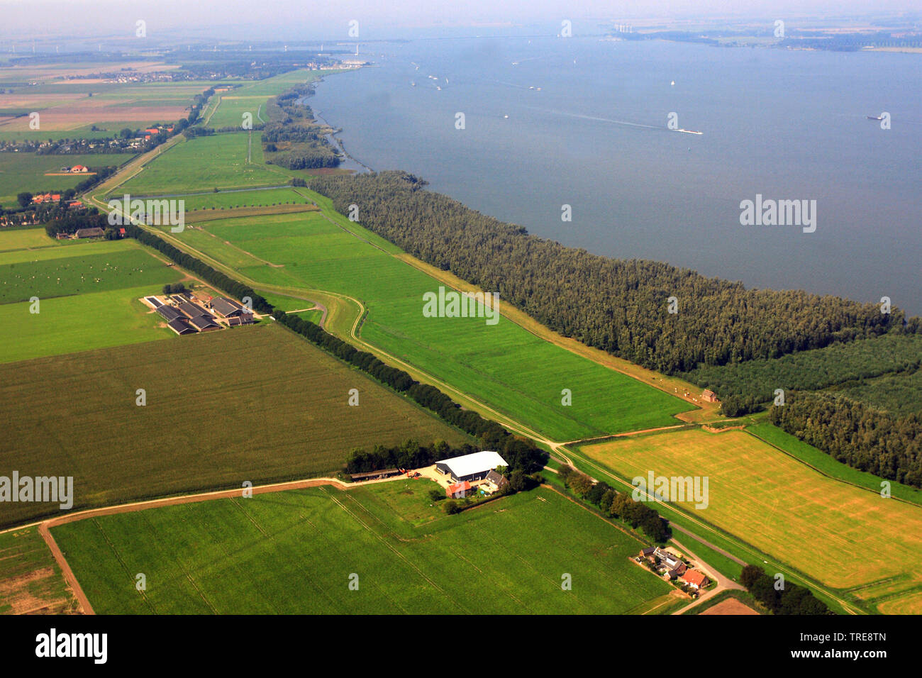 aerial view of De Biesbosch National Park, Netherlands, De Biesbosch National Park Stock Photo