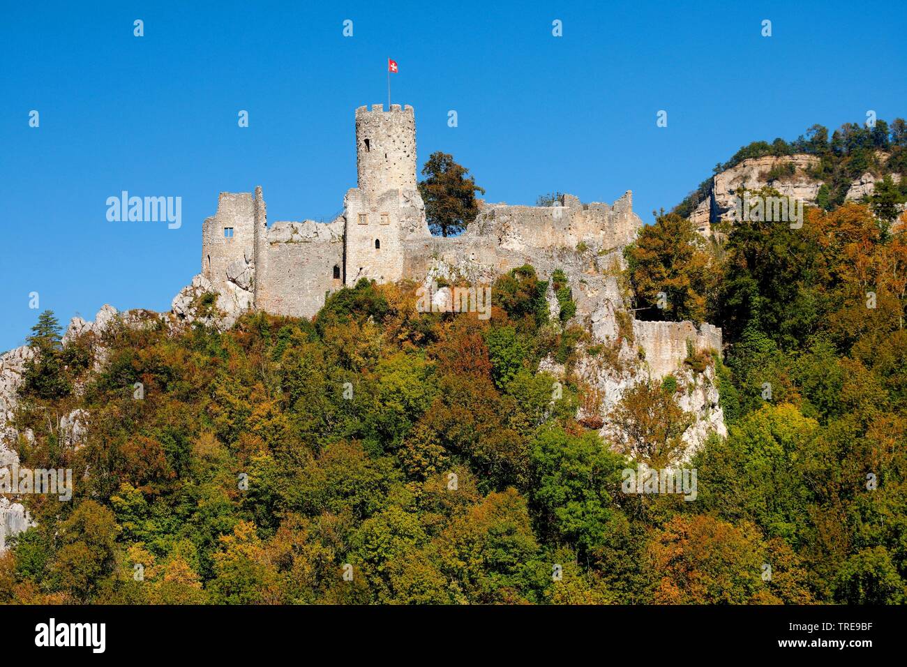 ruin Neu-Falkenstein, New Falkenstein, Switzerland, Solothurn, Balsthal Stock Photo