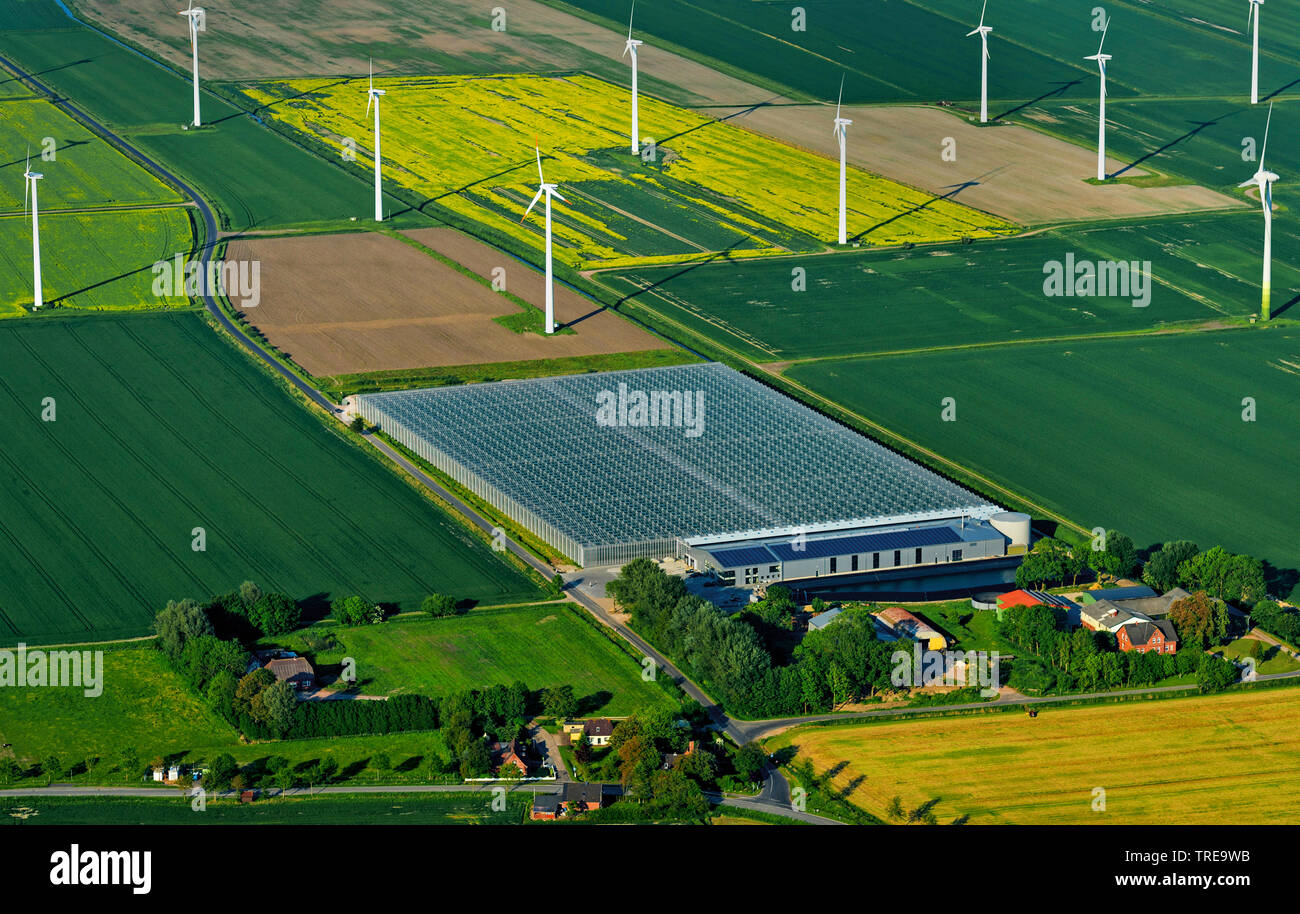 largest energy neutral bio greenhouse of Germany in Woehrden, wind wheels, aerial photo, Germany, Schleswig-Holstein, Kreis Dithmarschen Stock Photo
