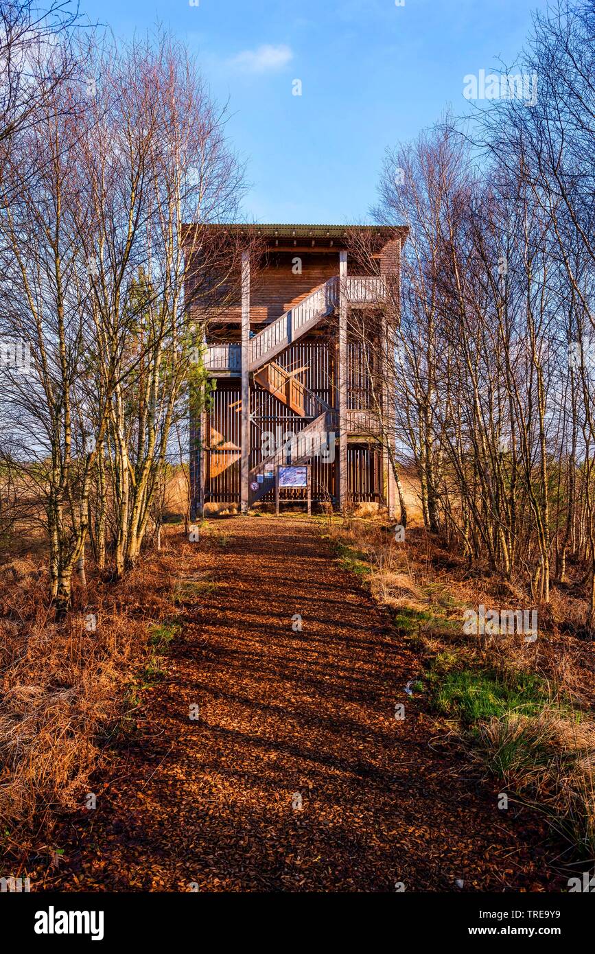 observation tower in Huvenhoopsmoor, Germany, Lower Saxony Stock Photo