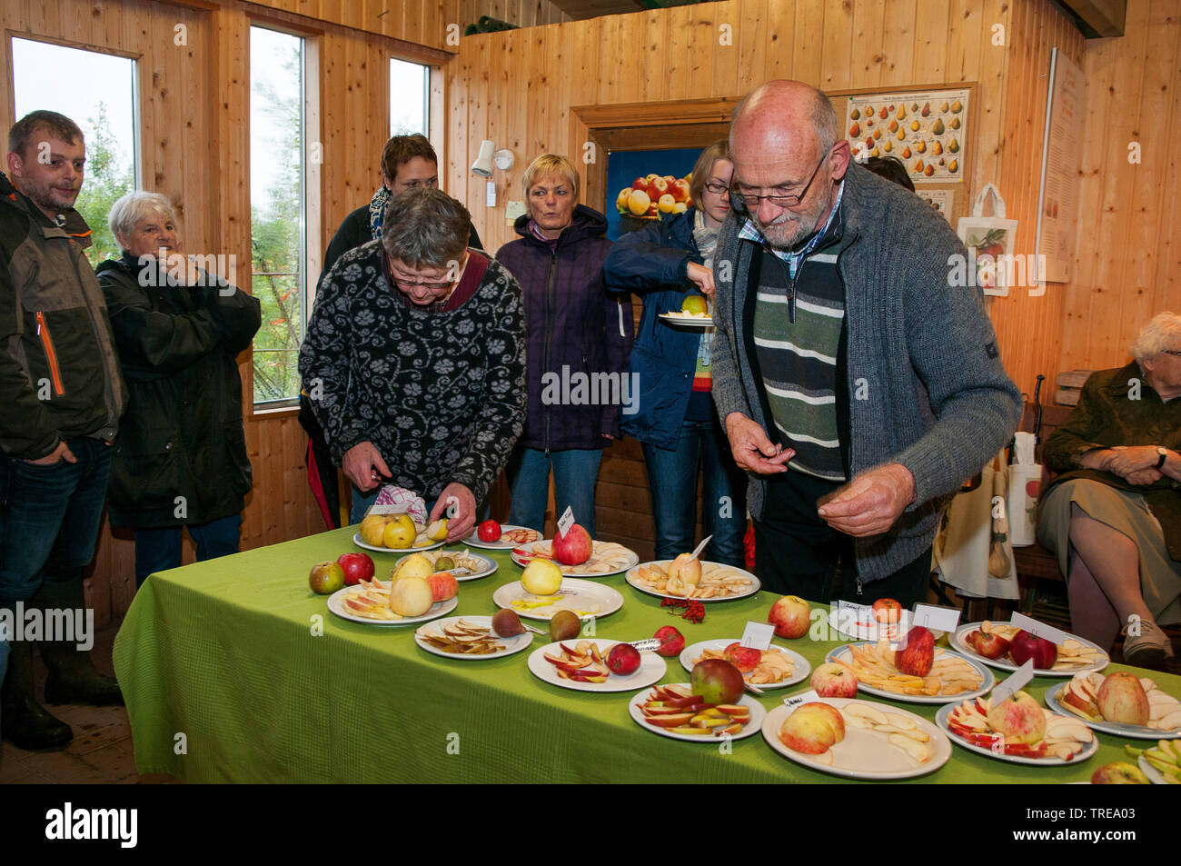 different apple cultivars are presented, Germany, Schleswig-Holstein Stock Photo