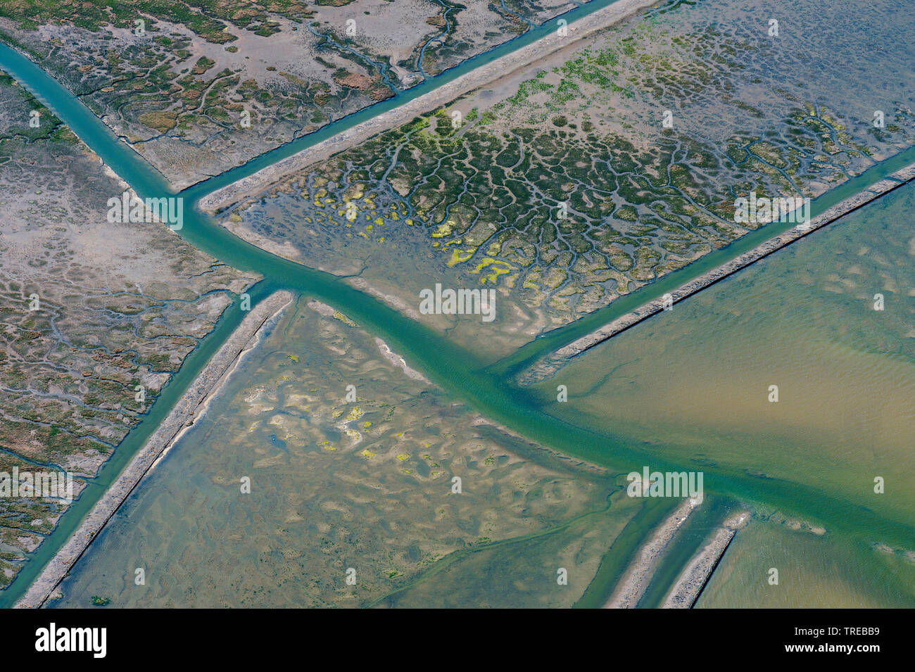 aerial view of land reclamation with ditches and reinforcements in the wadden sea of Pellworm, Germany, Schleswig-Holstein Stock Photo