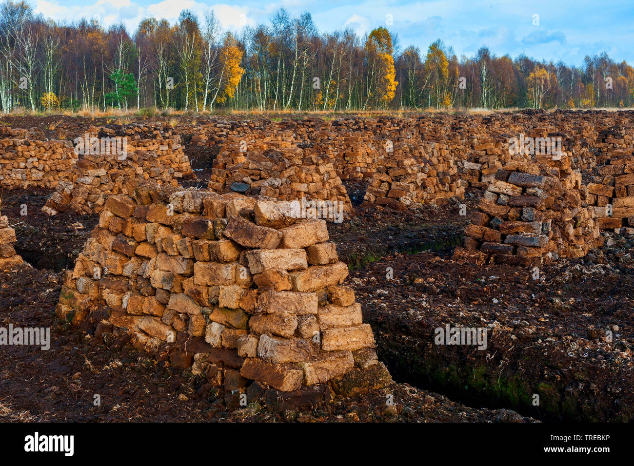 cutting peat in mire Goldenstedter Moor, Germany, Lower Saxony, Goldenstedter Moor Stock Photo