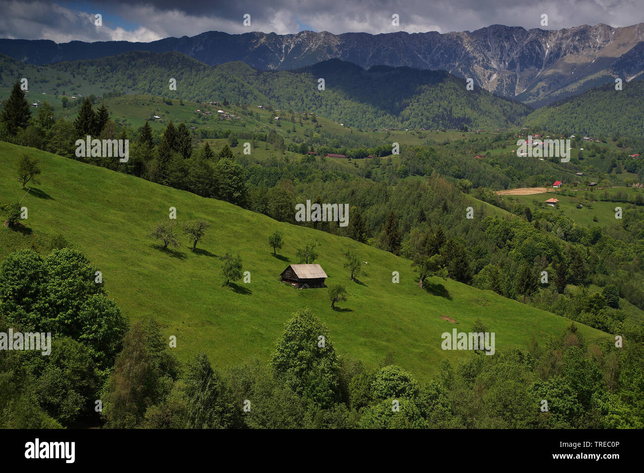 Carpathian Mountains Scenery Romania Stock Photo Alamy