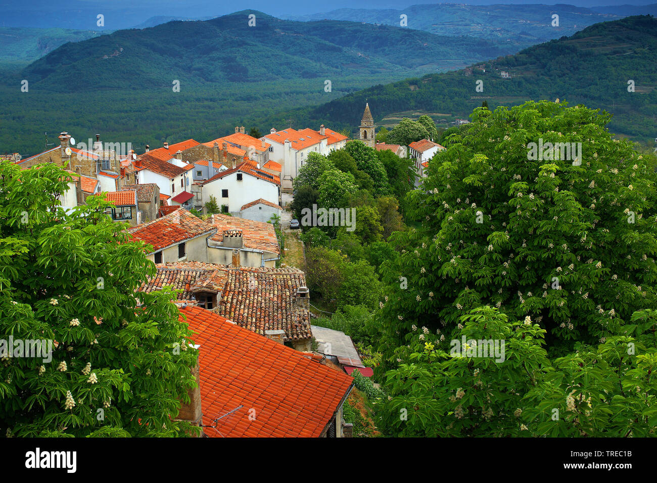 village Motovun, Croatia, Istria, Motovun Stock Photo