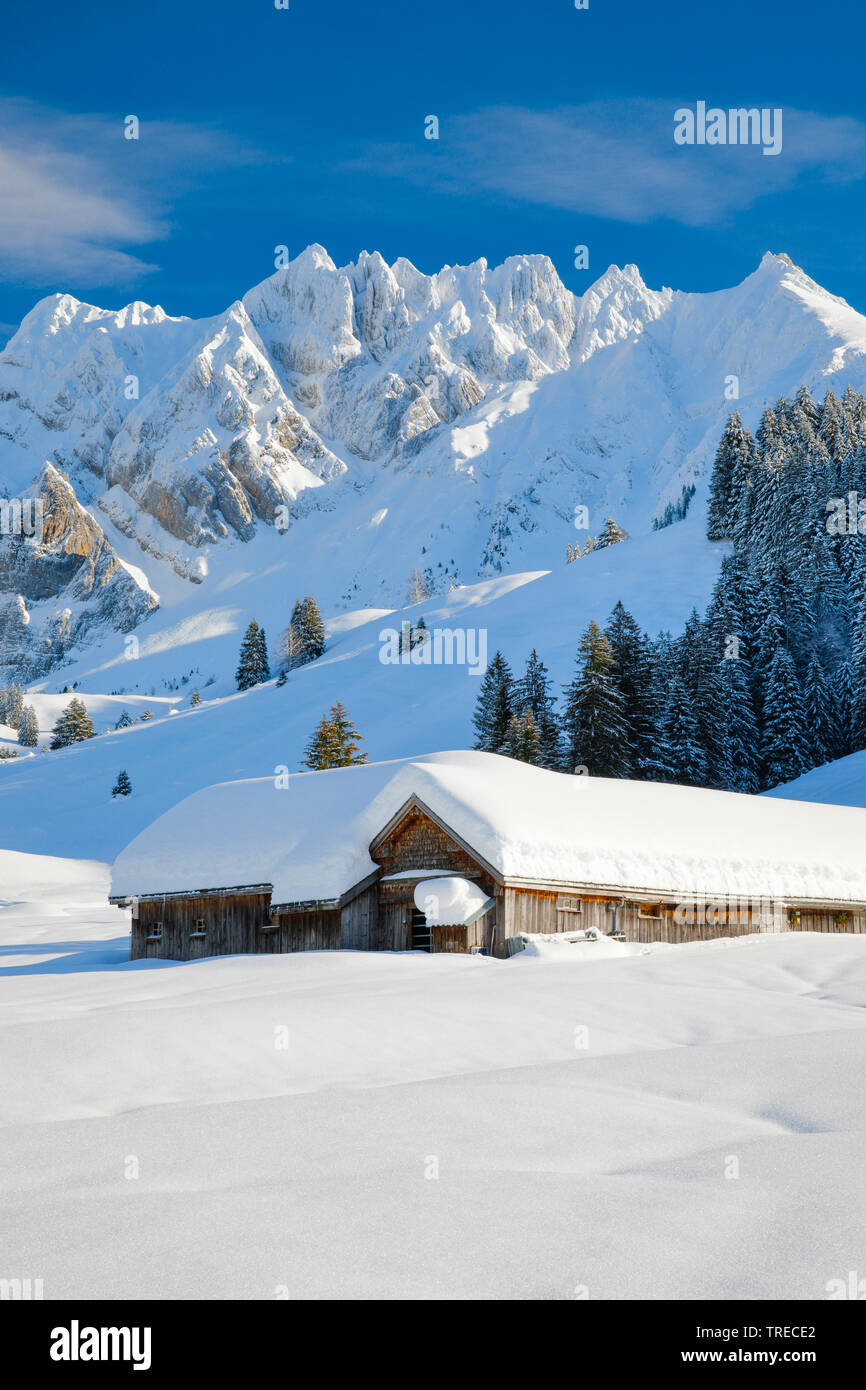 Alpsteinmassif with mountain cabin and Saentis, Switzerland, Appenzell Stock Photo