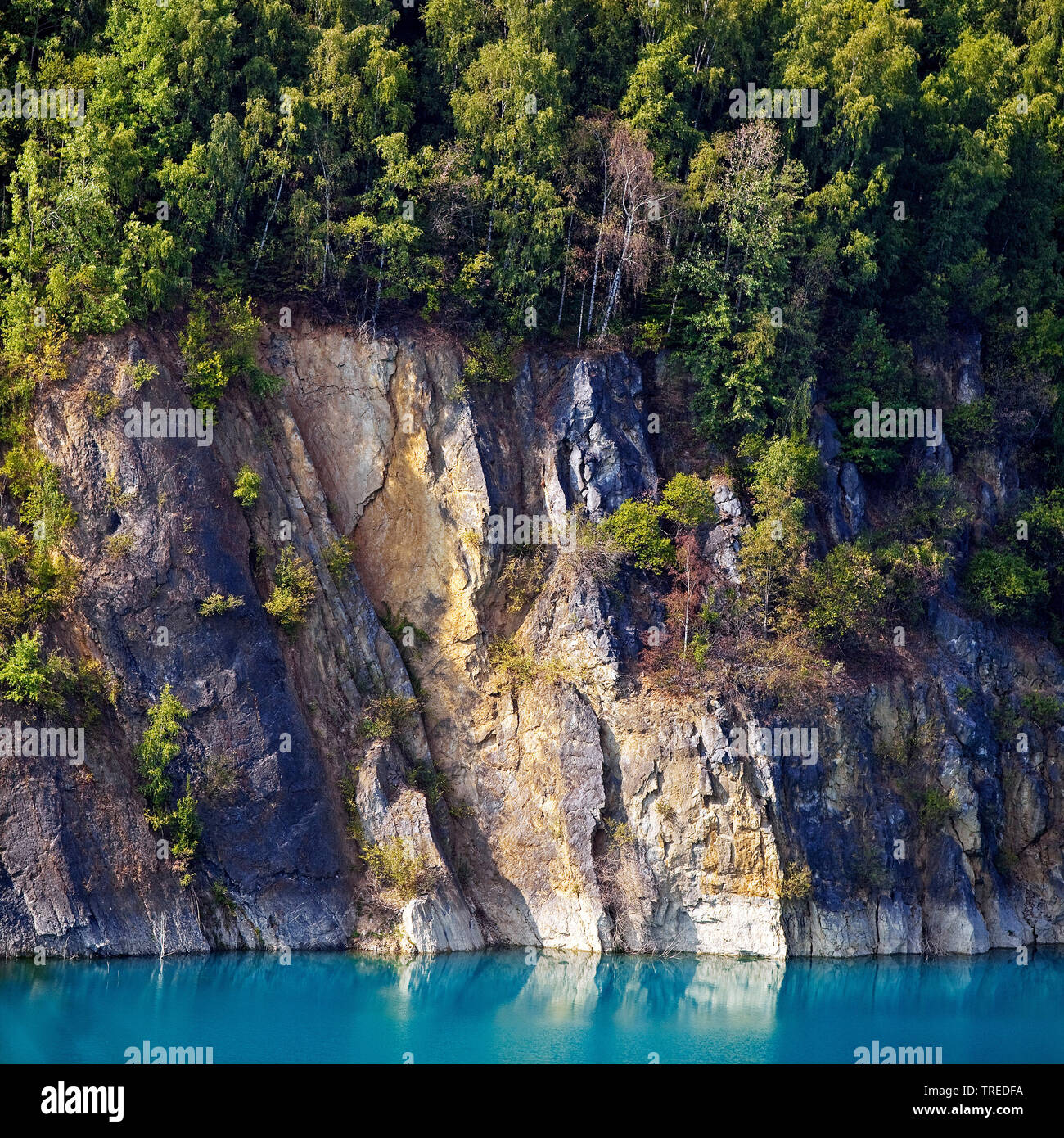 Prangenhaus limestone quarry, rock wall and lake, Germany, North Rhine