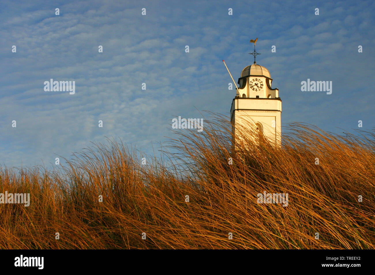 steeple of the White church in Katwijk, St Andreas Church, behind the dunes, Netherlands, Katwijk Stock Photo
