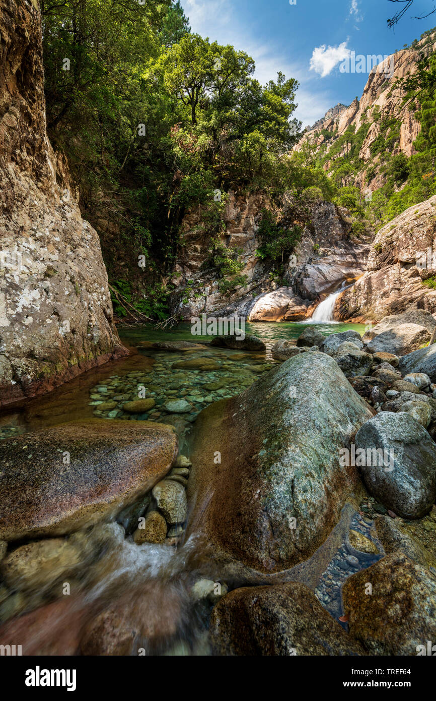 gorge of the Polischellu creek, France, Corsica Stock Photo