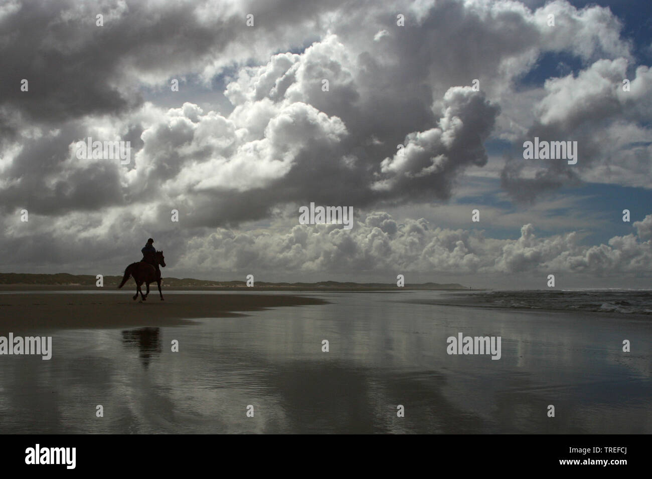 Beach on Terschelling, Netherlands, Terschelling Stock Photo