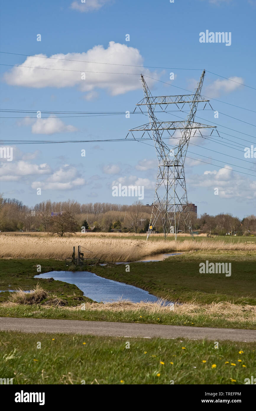 Electricity mast on a field, Netherlands, Northern Netherlands, Durgerdam Stock Photo