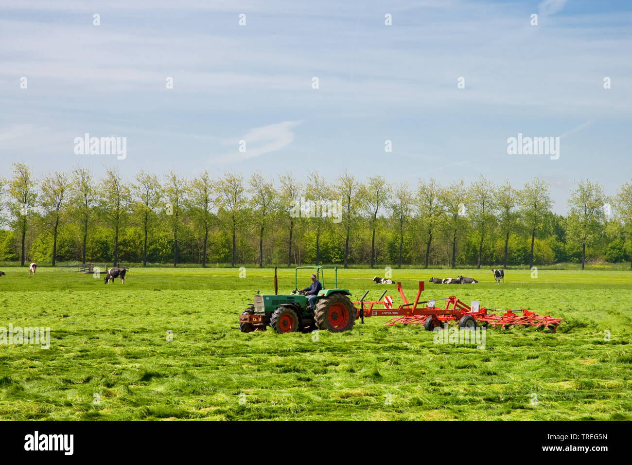 Grassland cutting hires stock photography and images Alamy