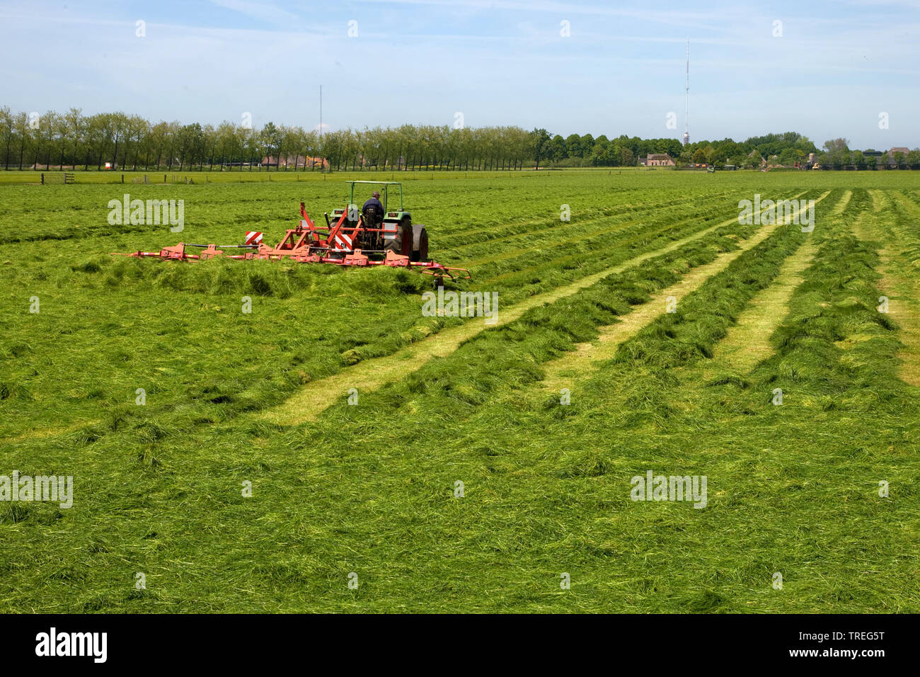 Mowing of grassland, Netherlands, Merwedekanaal Stock Photo Alamy