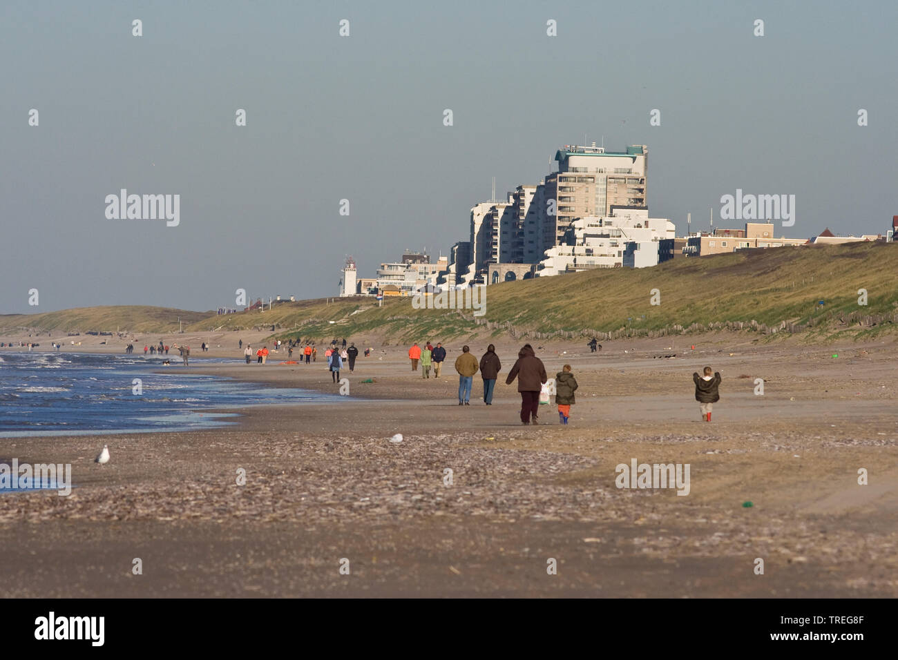 beach with Noordwijk in the background, Netherlands, Noordwijk aan Zee Stock Photo