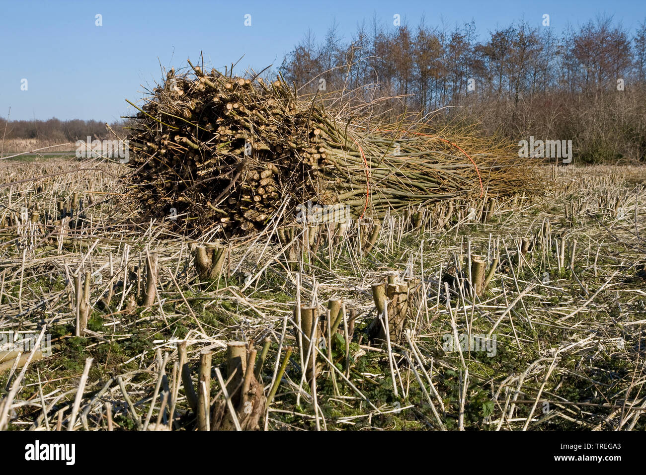Wickers High Resolution Stock Photography and Images - Alamy