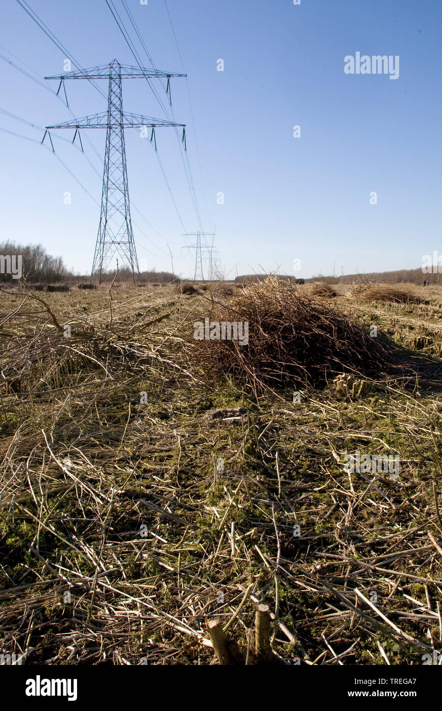 Wickers High Resolution Stock Photography and Images - Alamy
