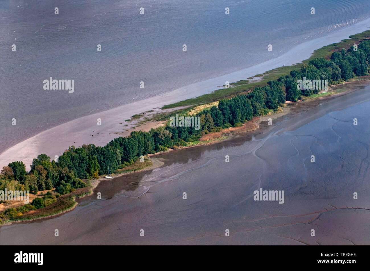 Hanskalbsand in the river Elbe, Germany, Lower Saxony Stock Photo