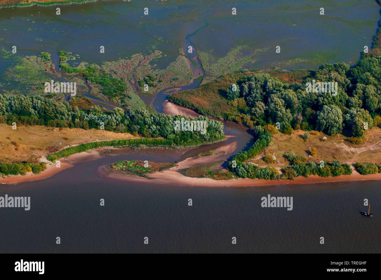 aerial view of alluvial forest, tideway and freshwater mudflats of river Elbe, Schweinesand, 26.09.2009, Germany, Elbe, Hamburg Stock Photo