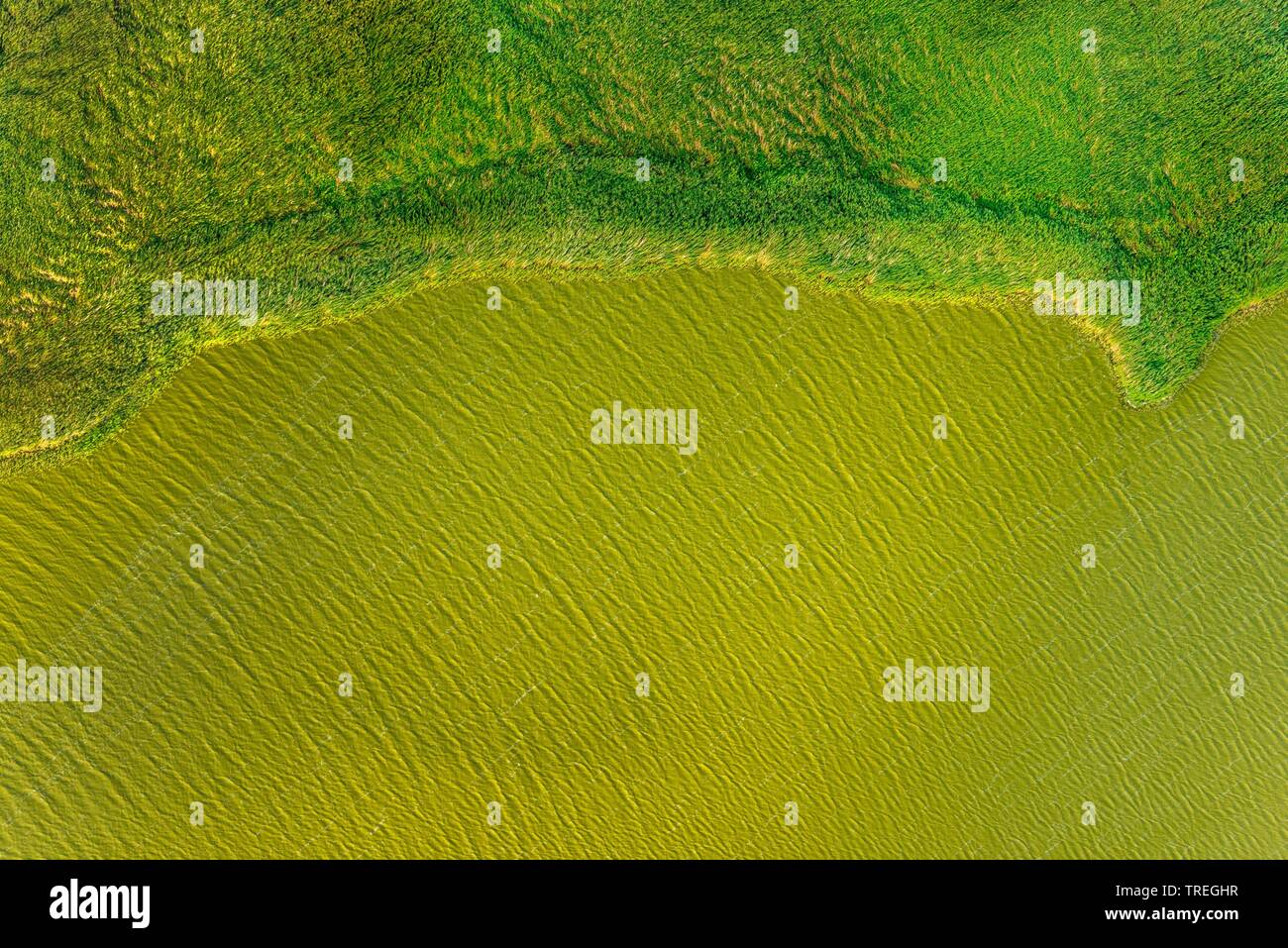 Schleswig-Holsteinisches Wattenmeer Nationalpark, aerial picture, Germany, Schleswig-Holstein, Schleswig-Holstein Wadden Sea National Park, Nordfriesisches Wattenmeer Stock Photo