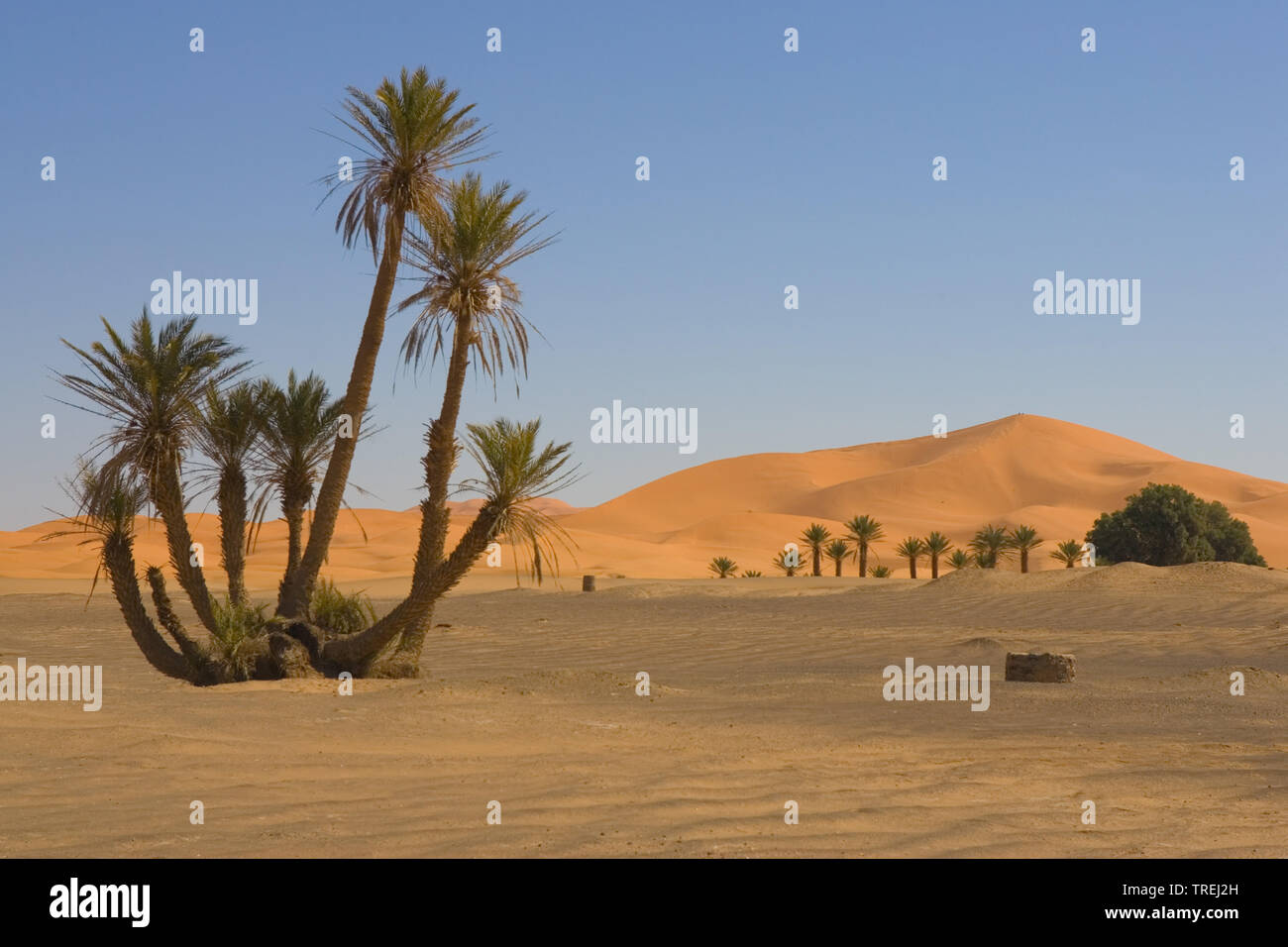 Dunes near Merzouga, Morocco Stock Photo