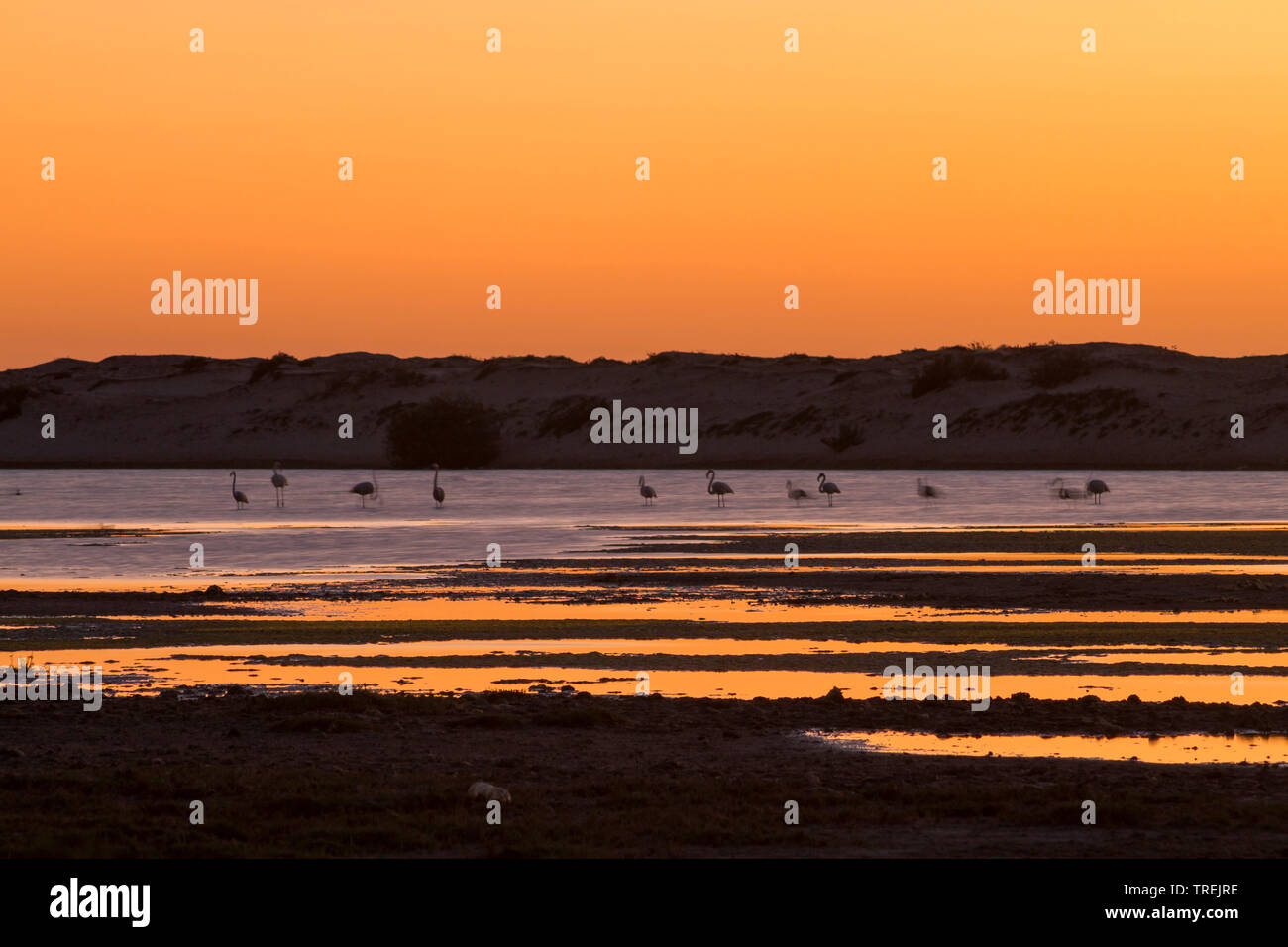Seascapes of oman hi-res stock photography and images - Alamy