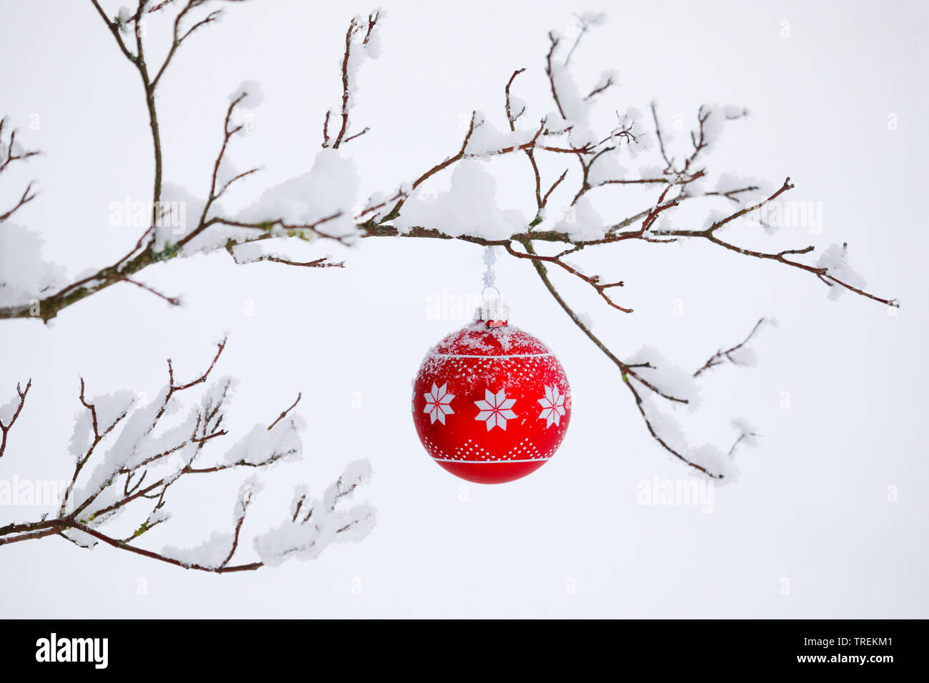 Christmas ball at a snow-covered twig, Switzerland Stock Photo