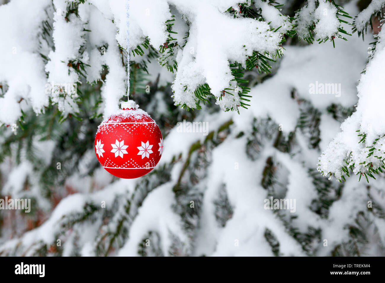 Christmas ball at a snow-covered spruce twig, Switzerland Stock Photo