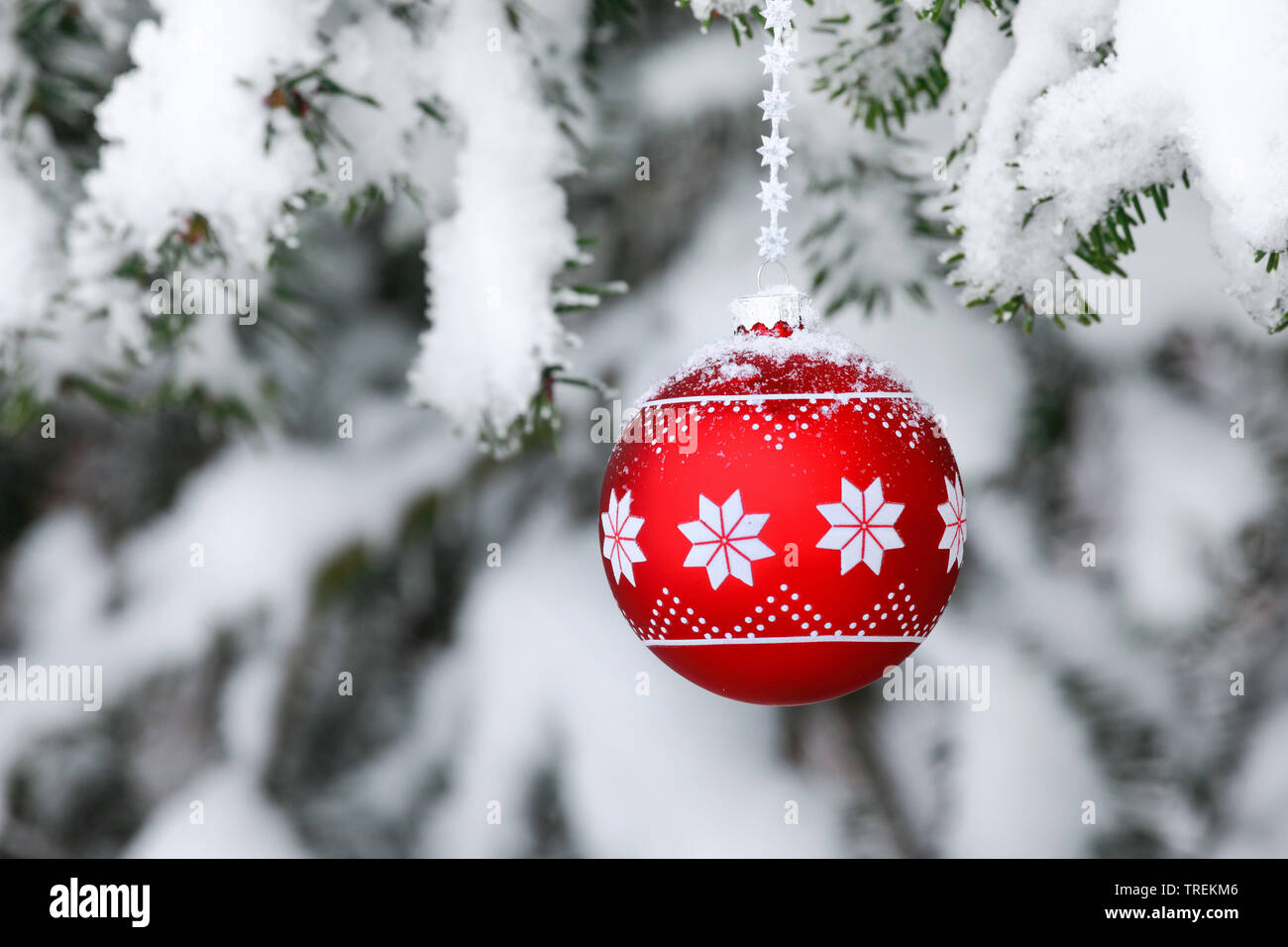 Christmas ball at a snow-covered spruce twig, Switzerland Stock Photo