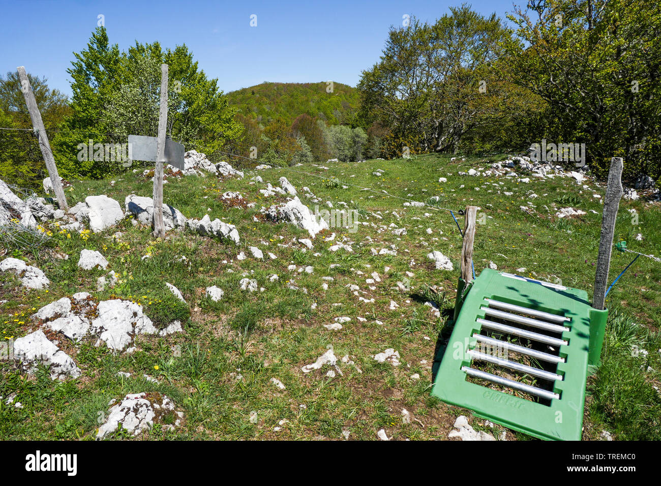 Cret de Beauregard, Plateau du Retord, Southern-Jura, Ain, France Stock ...